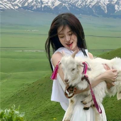 哈尔的移动城堡